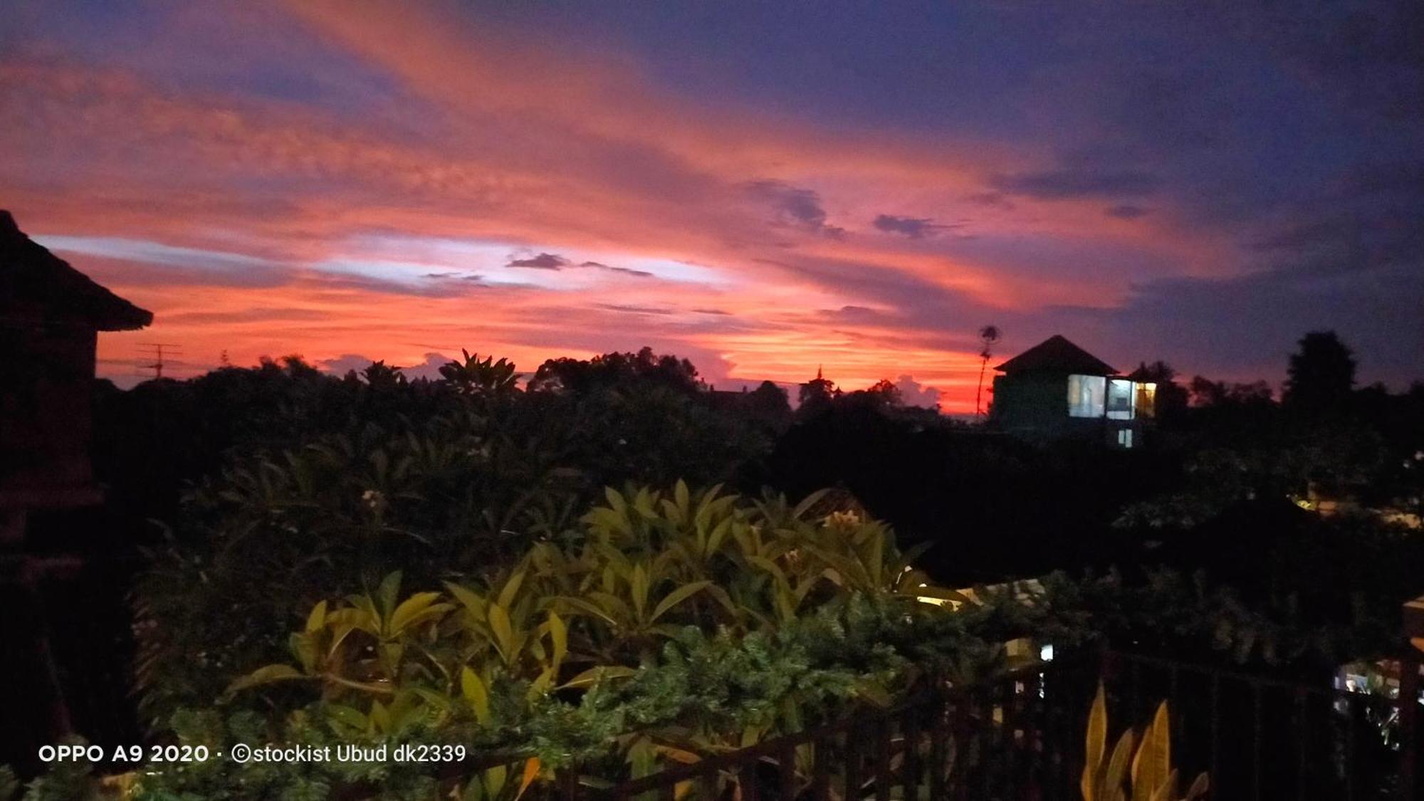 Danu House Ubud Exterior foto