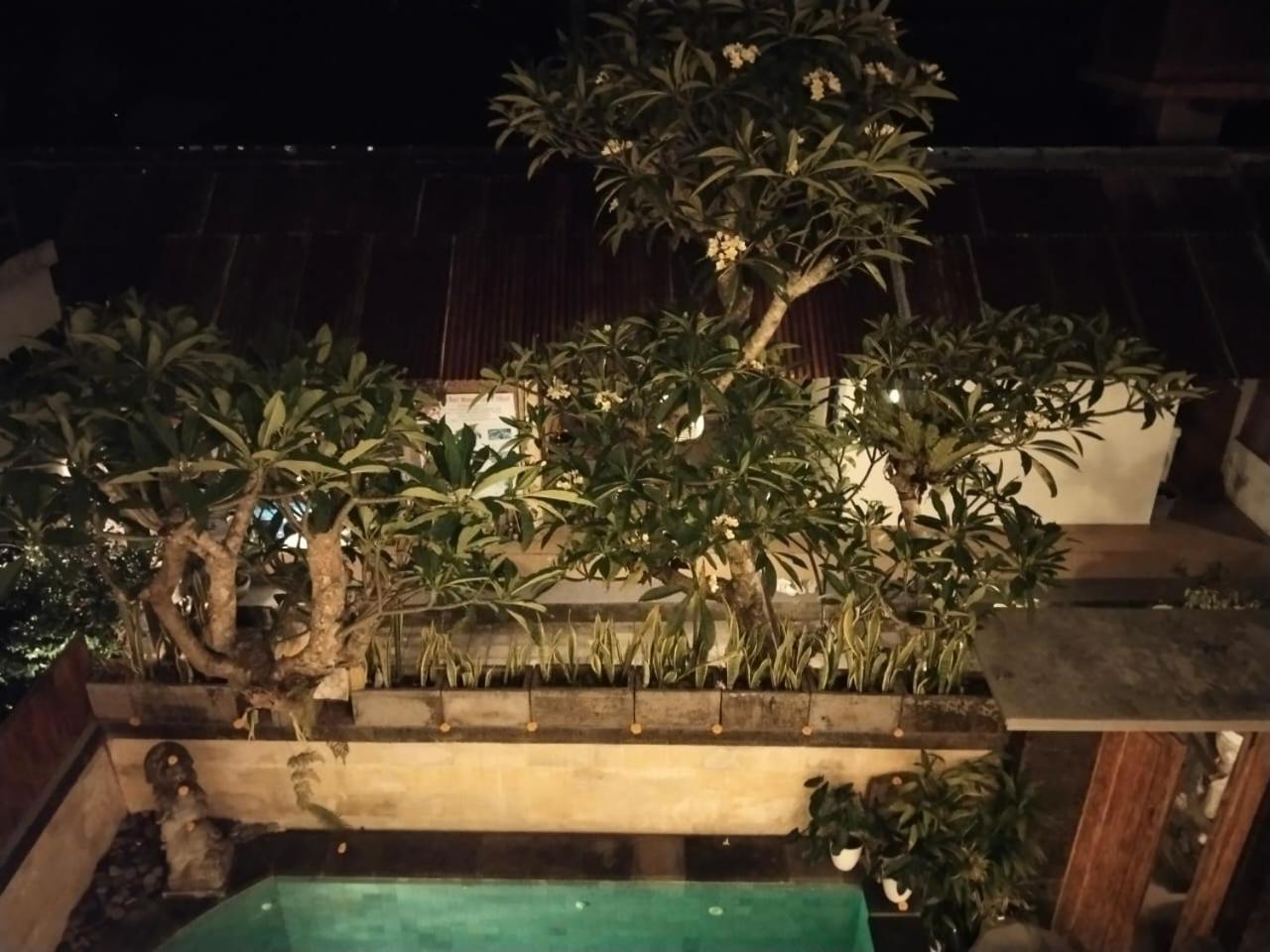 Danu House Ubud Cameră foto